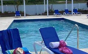 Natty'S Cozy Beach House In Hanover Jamaica